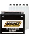 AGM wartungsfreie Batterien