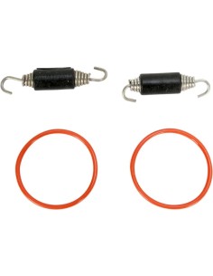 Rohrfeder/O-Ring Kit
