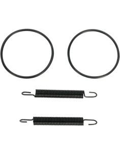 Rohrfeder/O-Ring Kit