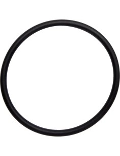 Auspuff O-Ringe