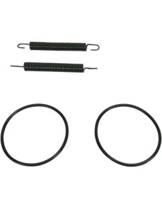 Rohrfeder/O-Ring Kit