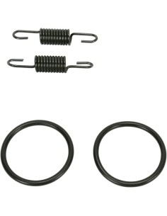 Rohrfeder/O-Ring Kit
