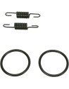 Rohrfeder/O-Ring Kit