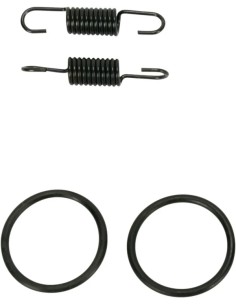 Rohrfeder/O-Ring Kit