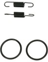 Rohrfeder/O-Ring Kit
