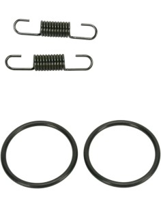 Rohrfeder/O-Ring Kit