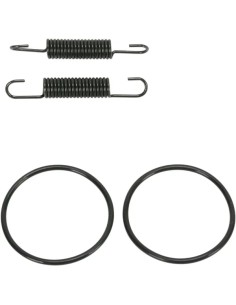 Rohrfeder/O-Ring Kit