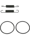 Rohrfeder/O-Ring Kit