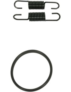Rohrfeder/O-Ring Kit