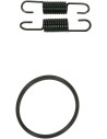 Rohrfeder/O-Ring Kit