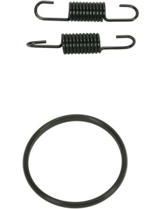 Rohrfeder/O-Ring Kit