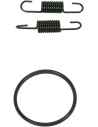Rohrfeder/O-Ring Kit