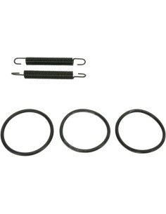 Rohrfeder/O-Ring Kit