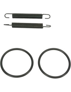 Rohrfeder/O-Ring Kit