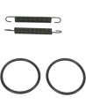 Rohrfeder/O-Ring Kit
