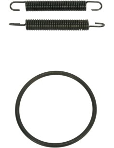 Rohrfeder/O-Ring Kit