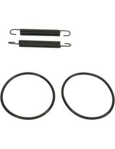 Rohrfeder/O-Ring Kit