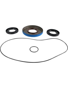 Differential-Dichtungssatz
