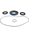 Differential-Dichtungssatz