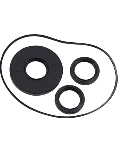 Differential-Dichtungssatz