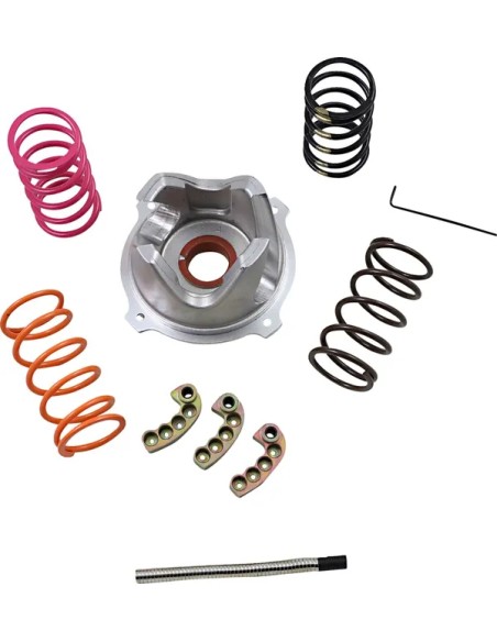 EPI Kupplungen & Kupplungskomponenten für POLARIS RZR XP 4 1000 4X4 2020-2024