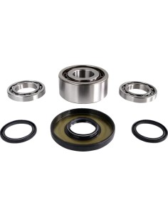 Differential-Lager-/Dichtungssatz