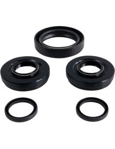 Differential-Dichtungssatz
