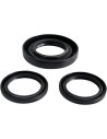 Differential-Dichtungssatz