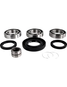 Differential-Lager-/Dichtungssatz