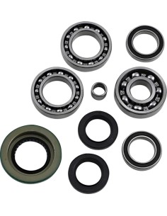 Differential-Lager-/Dichtungssatz