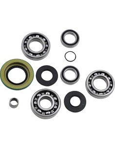 Differential-Lager-/Dichtungssatz