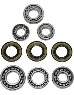 Differential-Lager-/Dichtungssatz