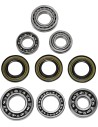 Differential-Lager-/Dichtungssatz