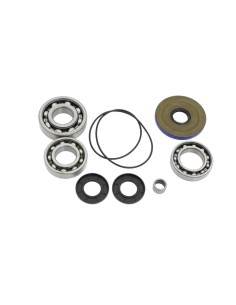 Differential-Dichtungssatz