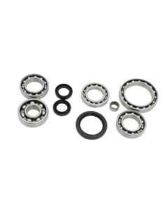Differential-Dichtungssatz
