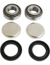Schwingarm Reparaturkit