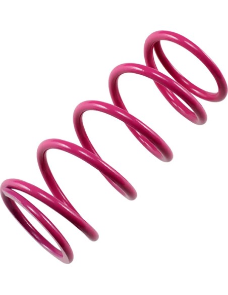 EPI Kupplungen & Kupplungskomponenten - PRIMARY SPRING PINK