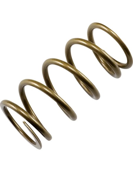 EPI Kupplungen & Kupplungskomponenten - PRIMARY SPRING GOLD