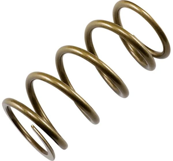 EPI Kupplungen & Kupplungskomponenten - PRIMARY SPRING GOLD