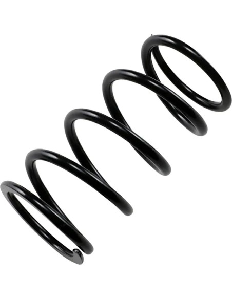 EPI Kupplungen & Kupplungskomponenten - PRIMARY SPRING BLACK