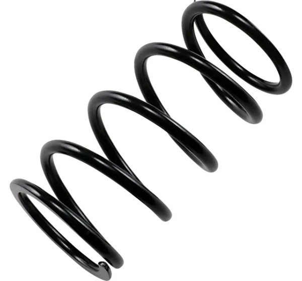 EPI Kupplungen & Kupplungskomponenten - PRIMARY SPRING BLACK