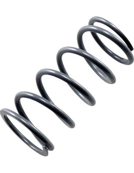 EPI Kupplungen & Kupplungskomponenten - PRIMARY SPRING SILVER