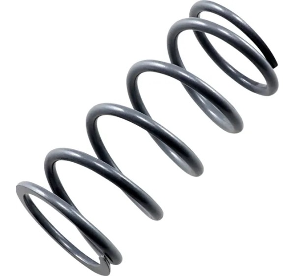 EPI Kupplungen & Kupplungskomponenten - PRIMARY SPRING SILVER
