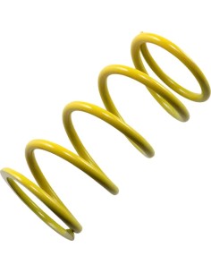 Primär-Kupplungsfeder