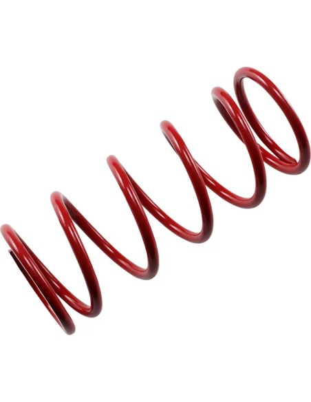 EPI Kupplungen & Kupplungskomponenten - RER SECONDARY SPRING RED