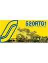 520 Works abgedichtete Tripleguard Motorradkette