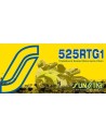 525 Rtg1 Works Tripleguard abgedichtete Motorradkette