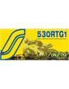 530 RTG1 Antriebskette