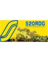 520 Rdg abgedichtete Dualguard-Motorradkette