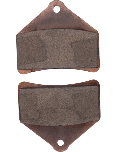DP BRAKES Bremsbeläge & Bremsbacken für ARCTIC CAT F5 500 2005-2014